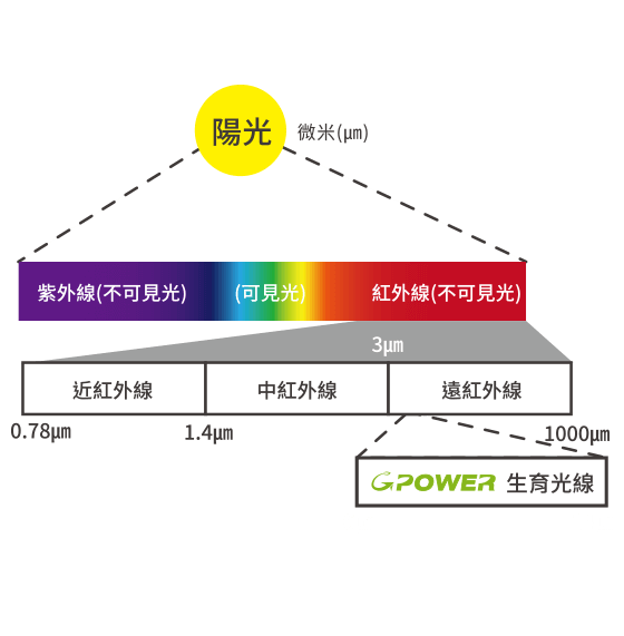 台北木地板施工推薦-詠樂欣木地板