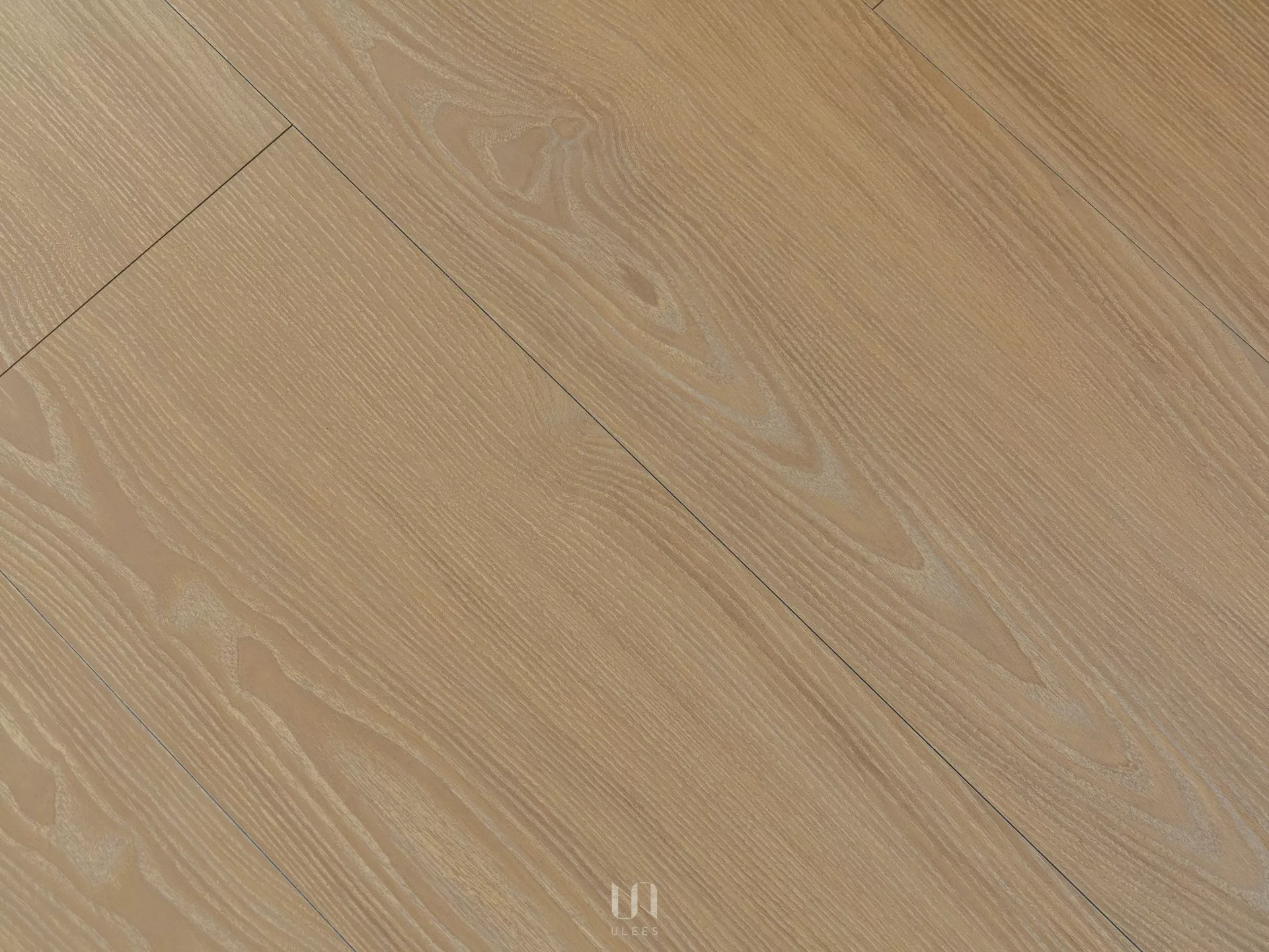 K｜晨橡