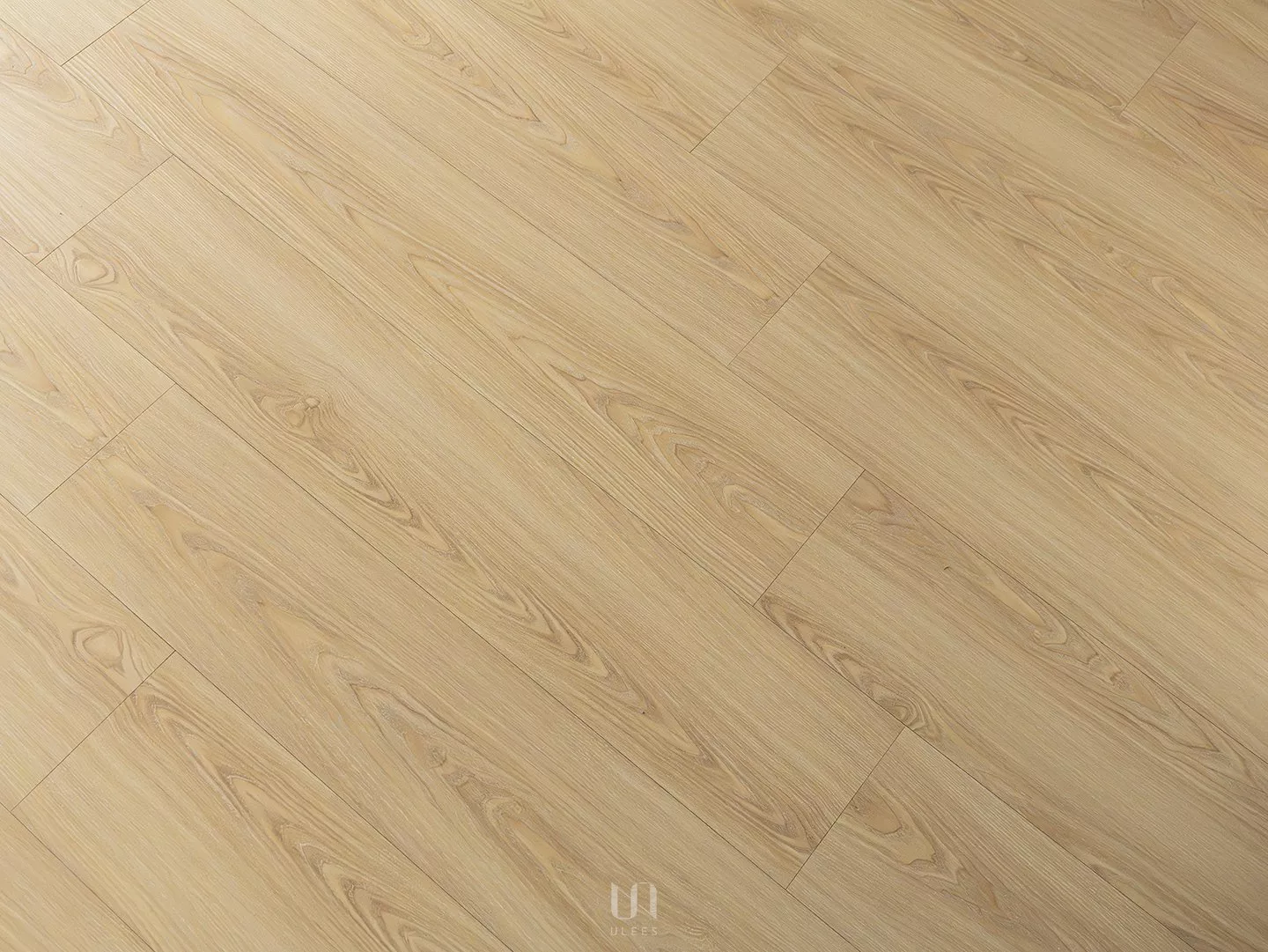 K｜月橡