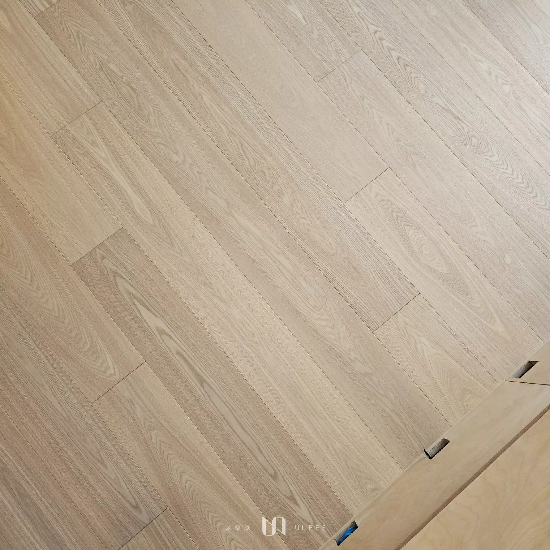 白腊木｜自然色