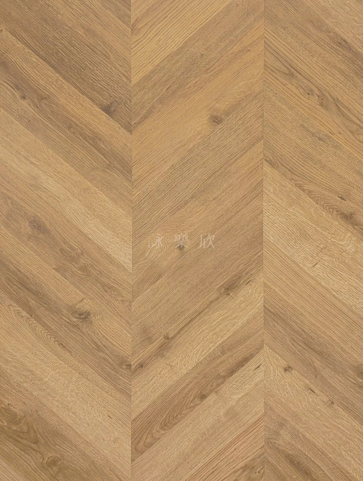 FINfloor｜南特魚骨