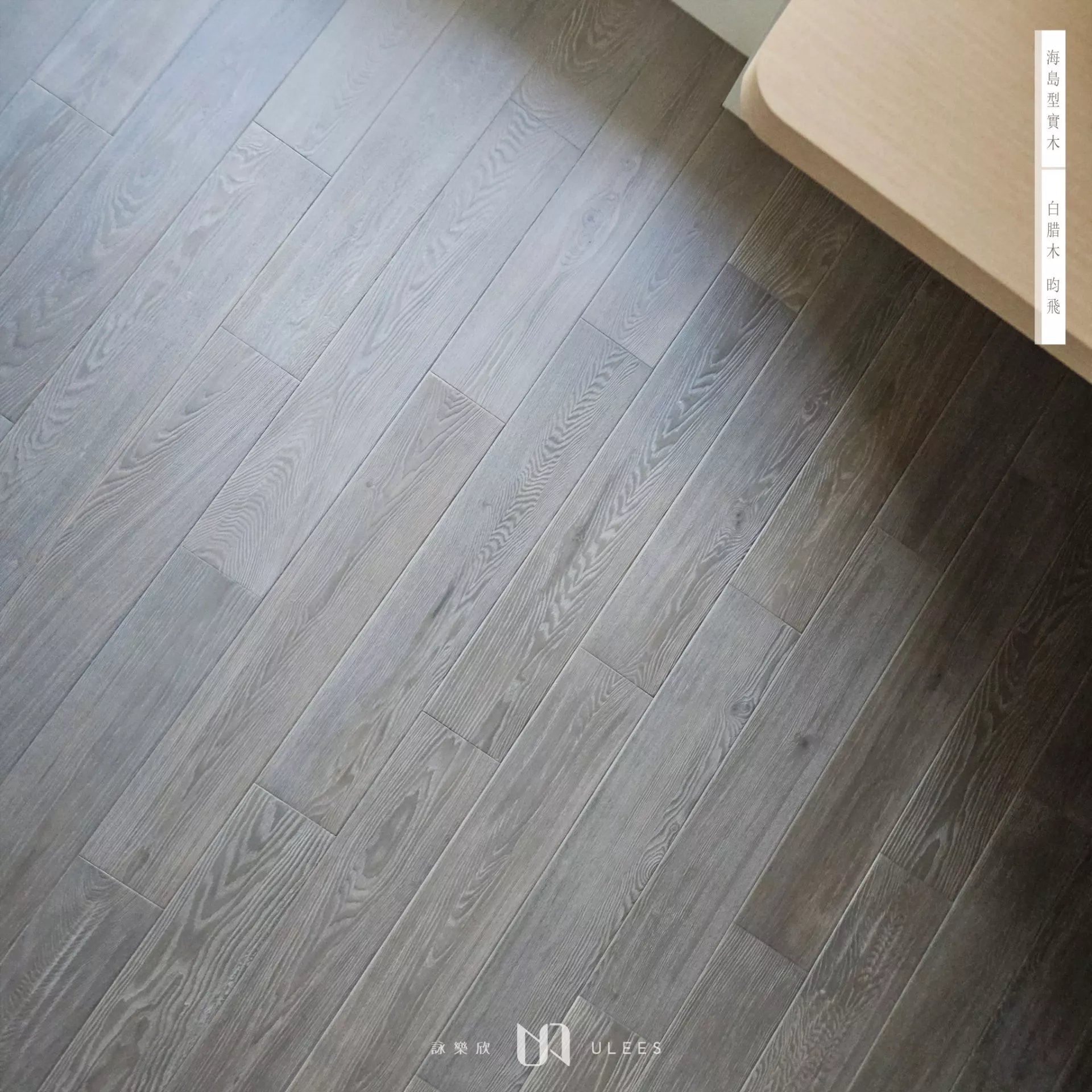白腊木｜昀飛