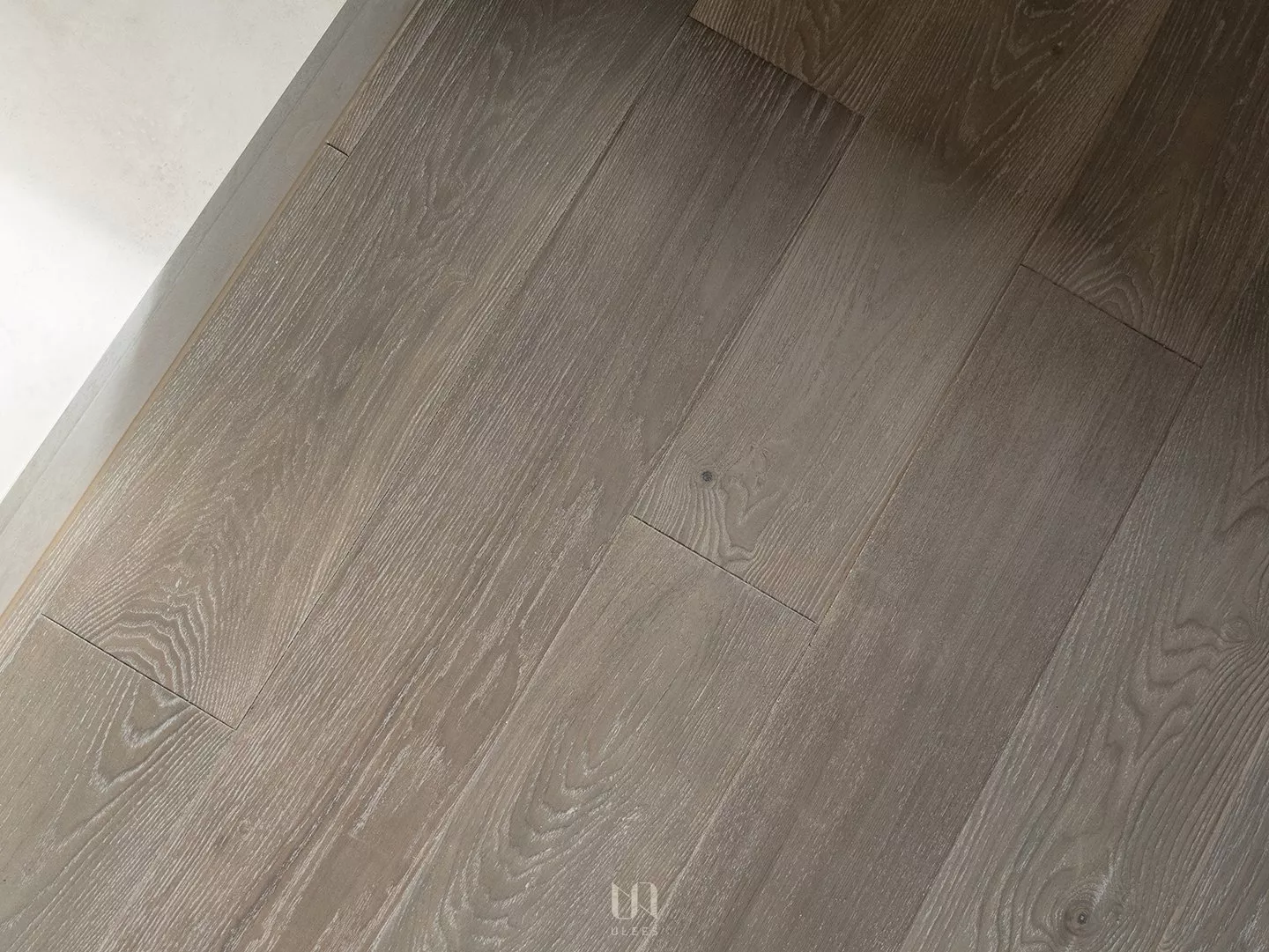 白腊木｜昀飛