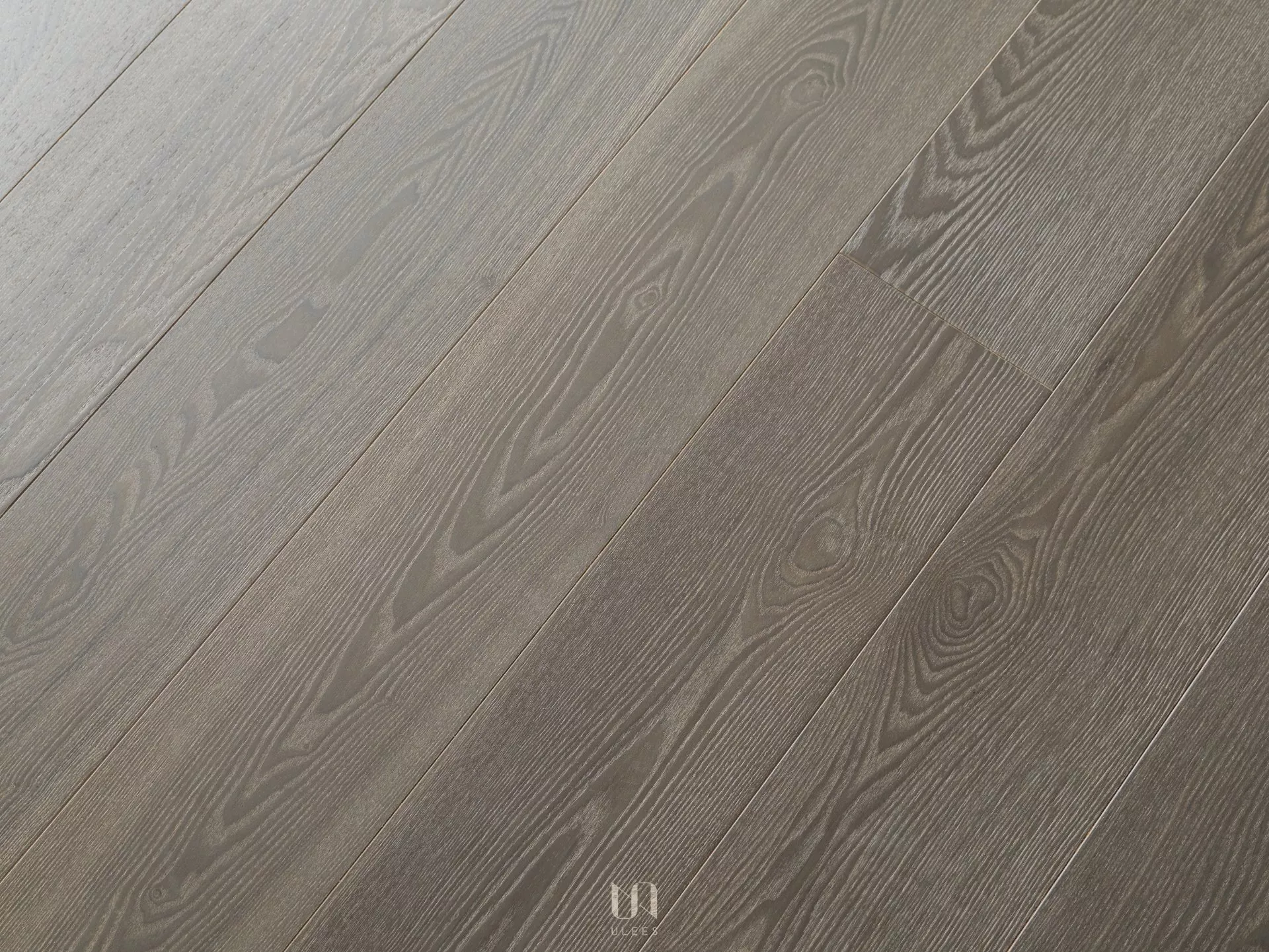 白腊木｜ 笛卡兒