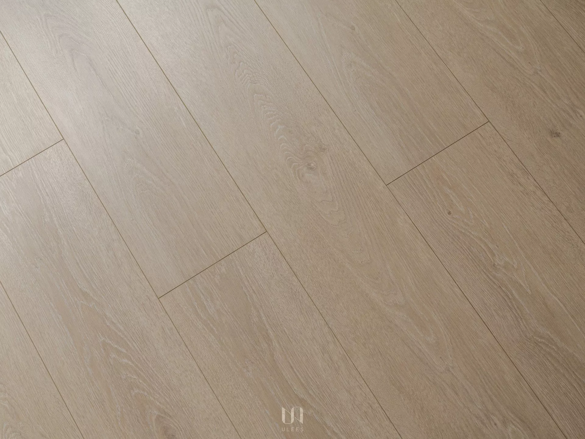 LN1003
