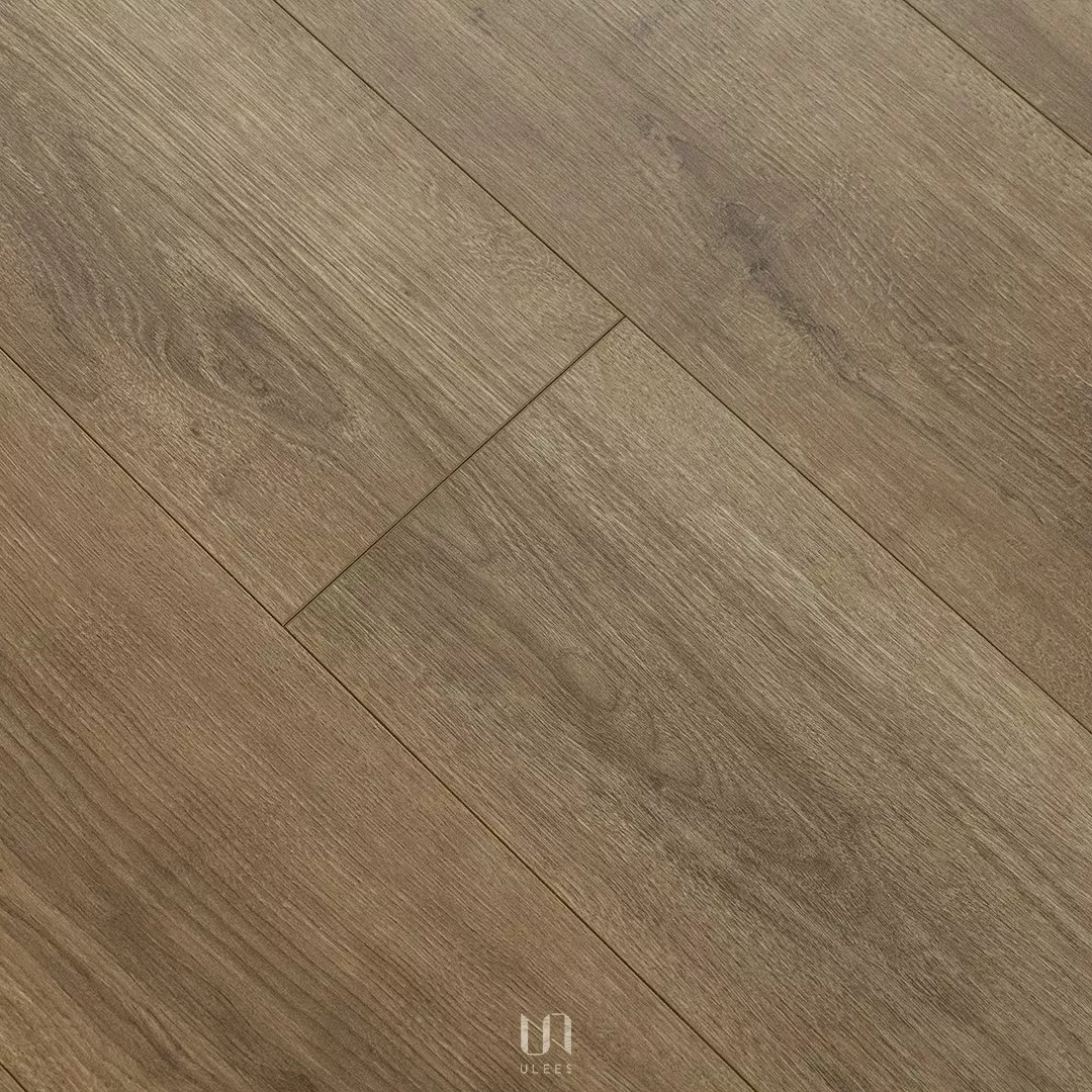 3228｜馬拉克橡木