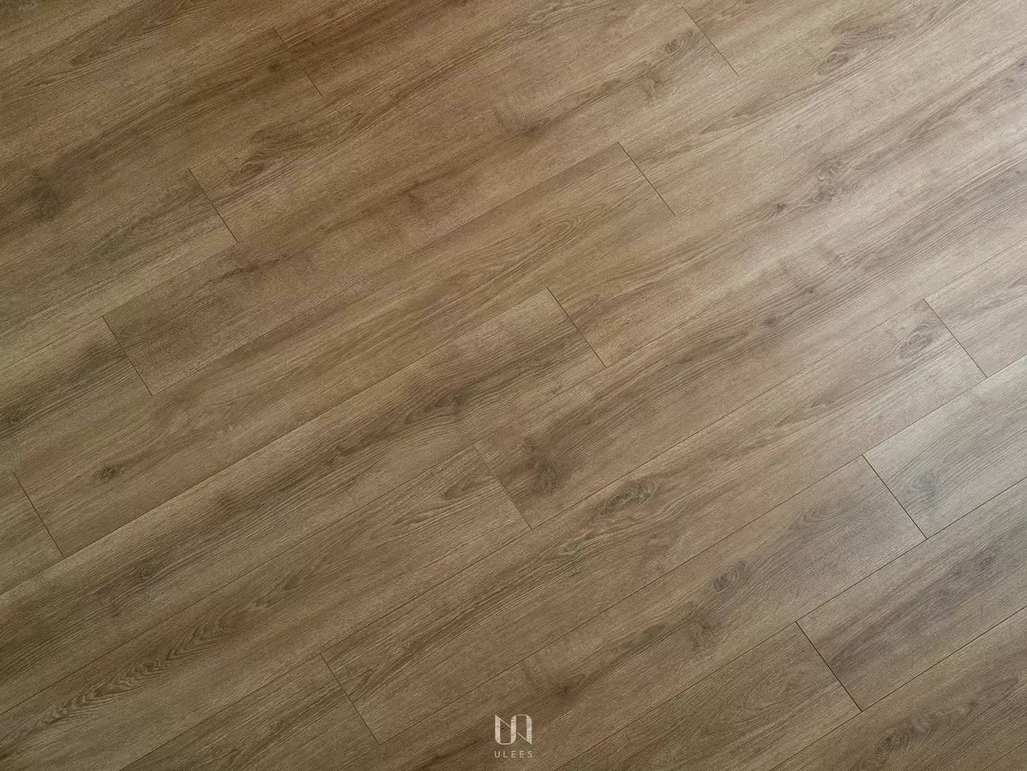 3228｜馬拉克橡木
